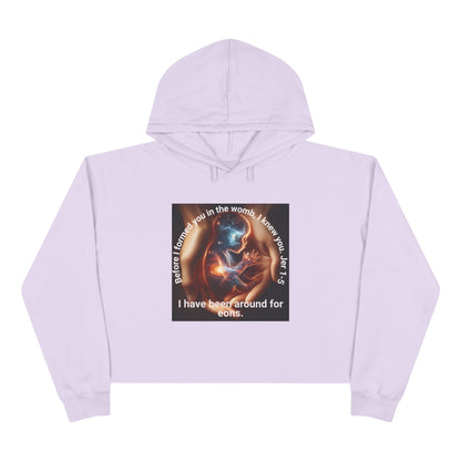 Celestial for Cosmic Souls Crop Hoodie