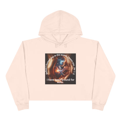 Celestial for Cosmic Souls Crop Hoodie