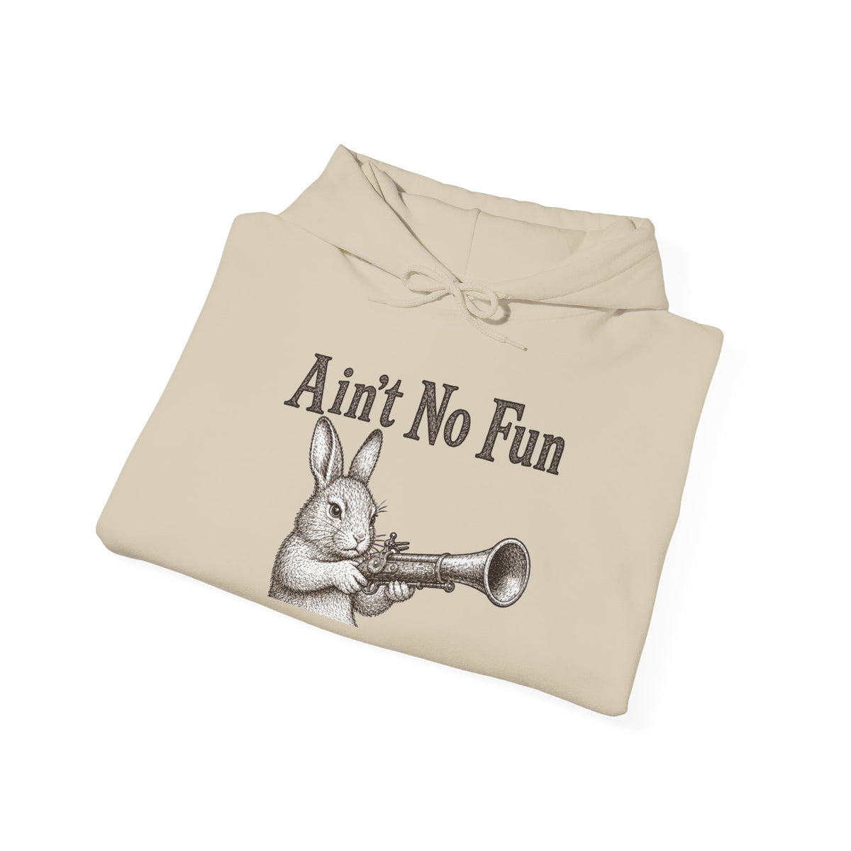 Ain't No Fun Rabbit Hoodie – Funny Vintage Animal Graphic Hoodie