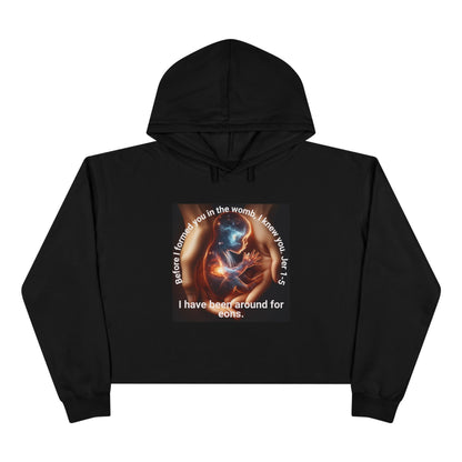 Celestial for Cosmic Souls Crop Hoodie
