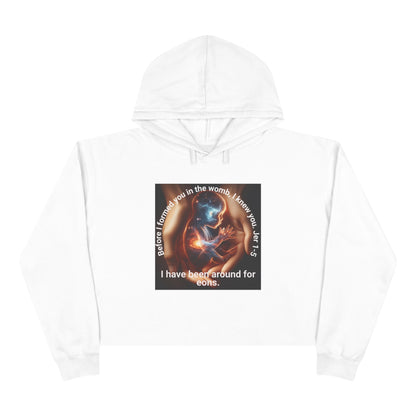 Celestial for Cosmic Souls Crop Hoodie