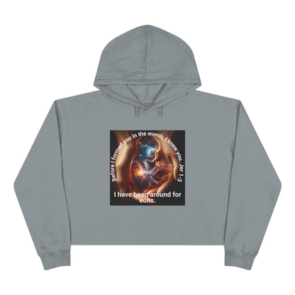 Celestial for Cosmic Souls Crop Hoodie