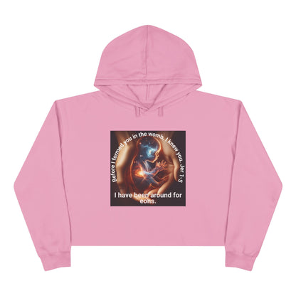 Celestial for Cosmic Souls Crop Hoodie